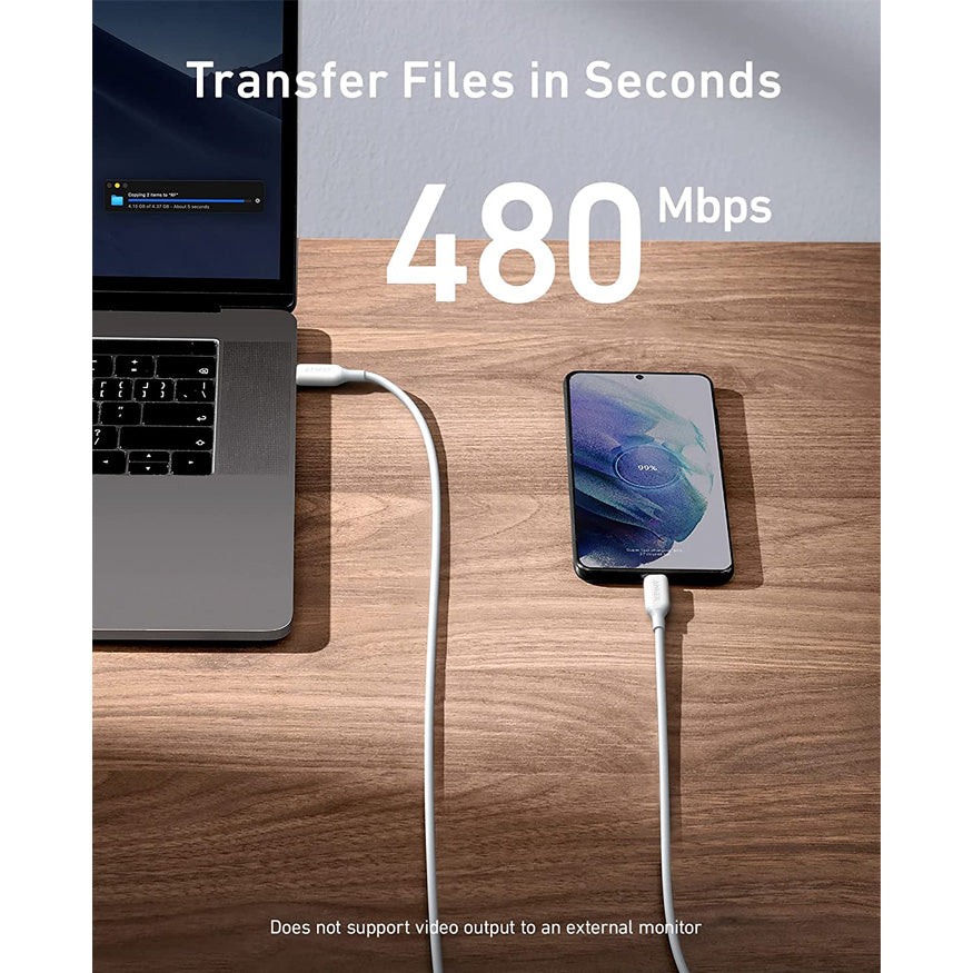 ANKER Powerline III USB-C to USB-C 100W 2.0 fast Charging Cable - A8856