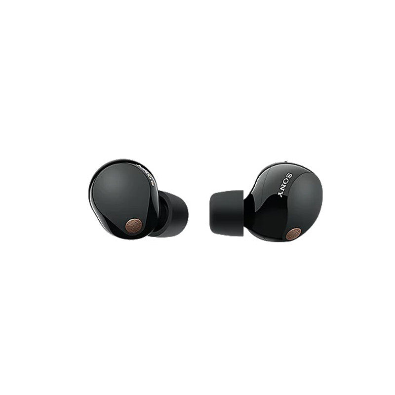 Sony WF-1000XM5 Wireless Noise Cancelling Earbuds (XM5)